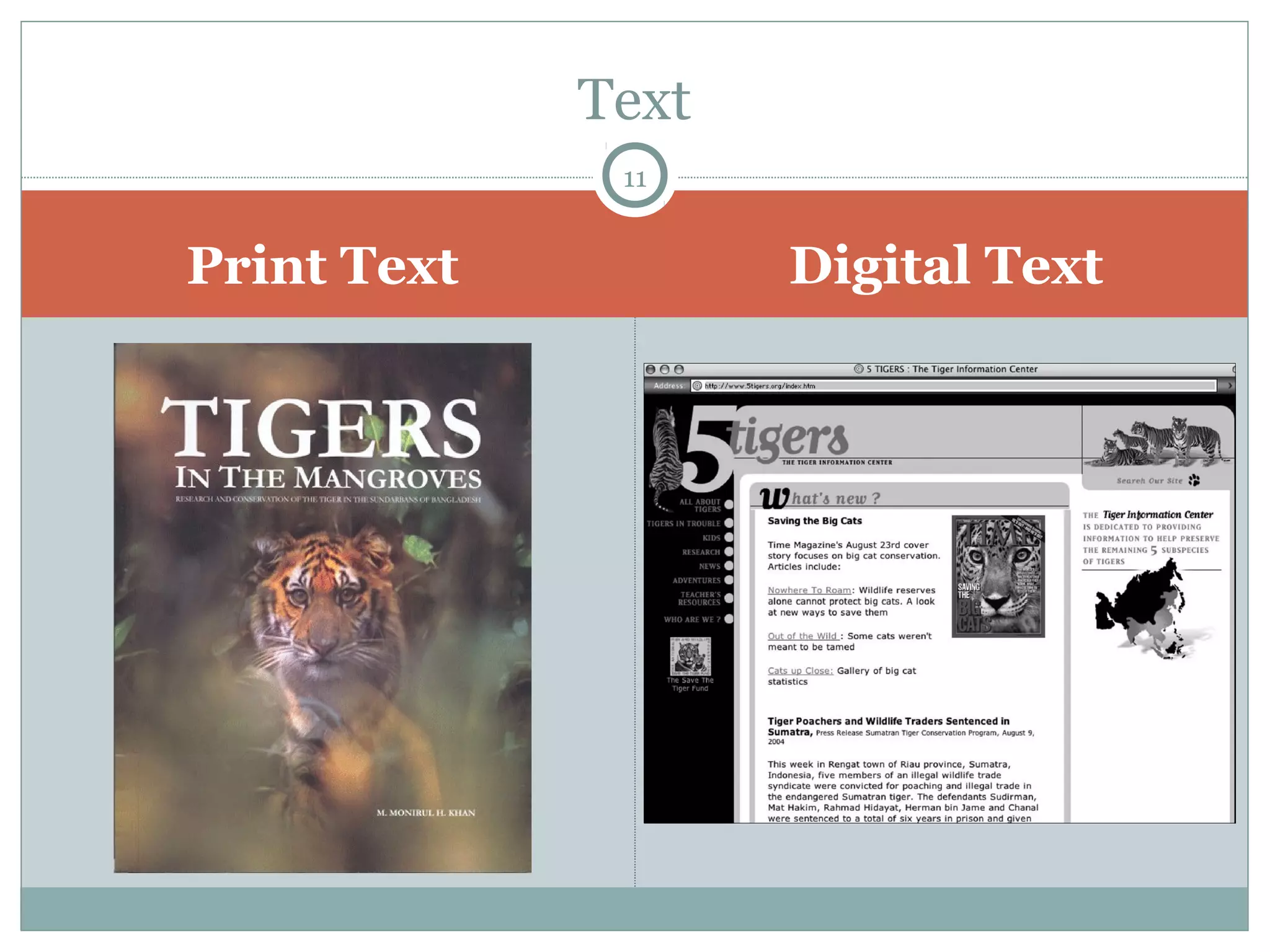 Text 
11 
Print Text Digital Text 
 