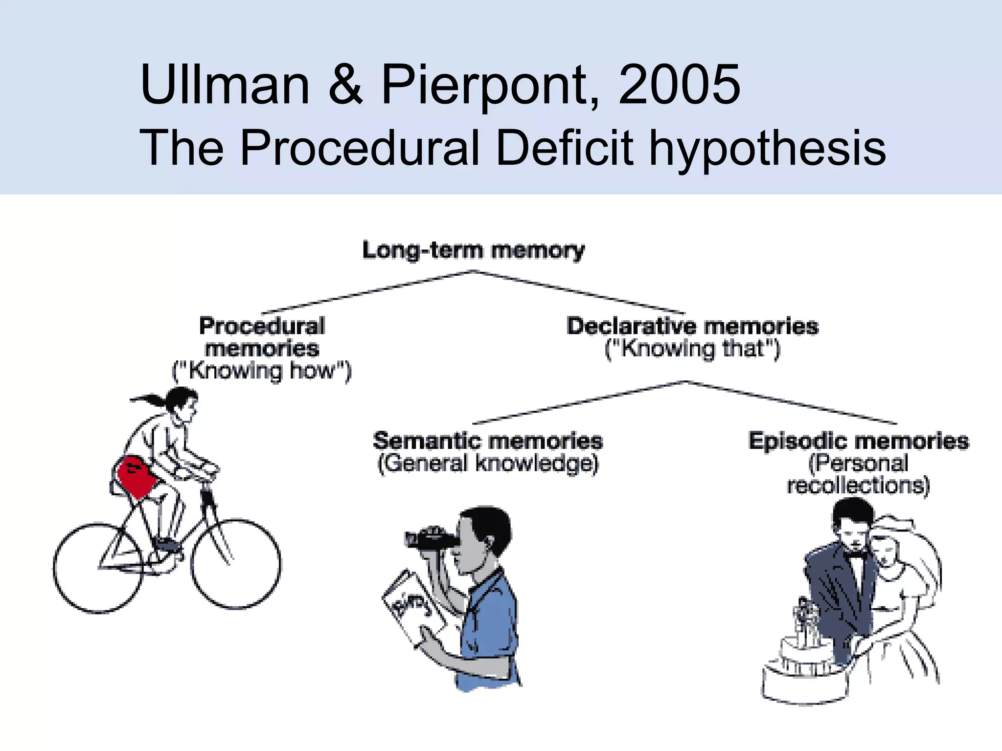 Ullman & Pierpont, 2005
The Procedural Deficit hypothesis

 