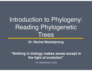 Introduction to Phylogeny:
Reading Phylogenetic
Trees
“Nothing in biology makes sense except in
the light of evolution”
T.H. Dobzhansky (1973)
Dr. Rachel Mackelprang
 