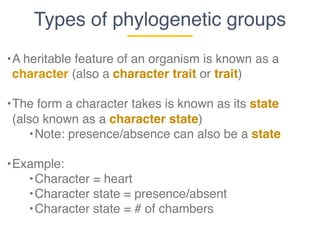 Microbial Diversity Part 3: Reading Phylogenetic Trees | PDF