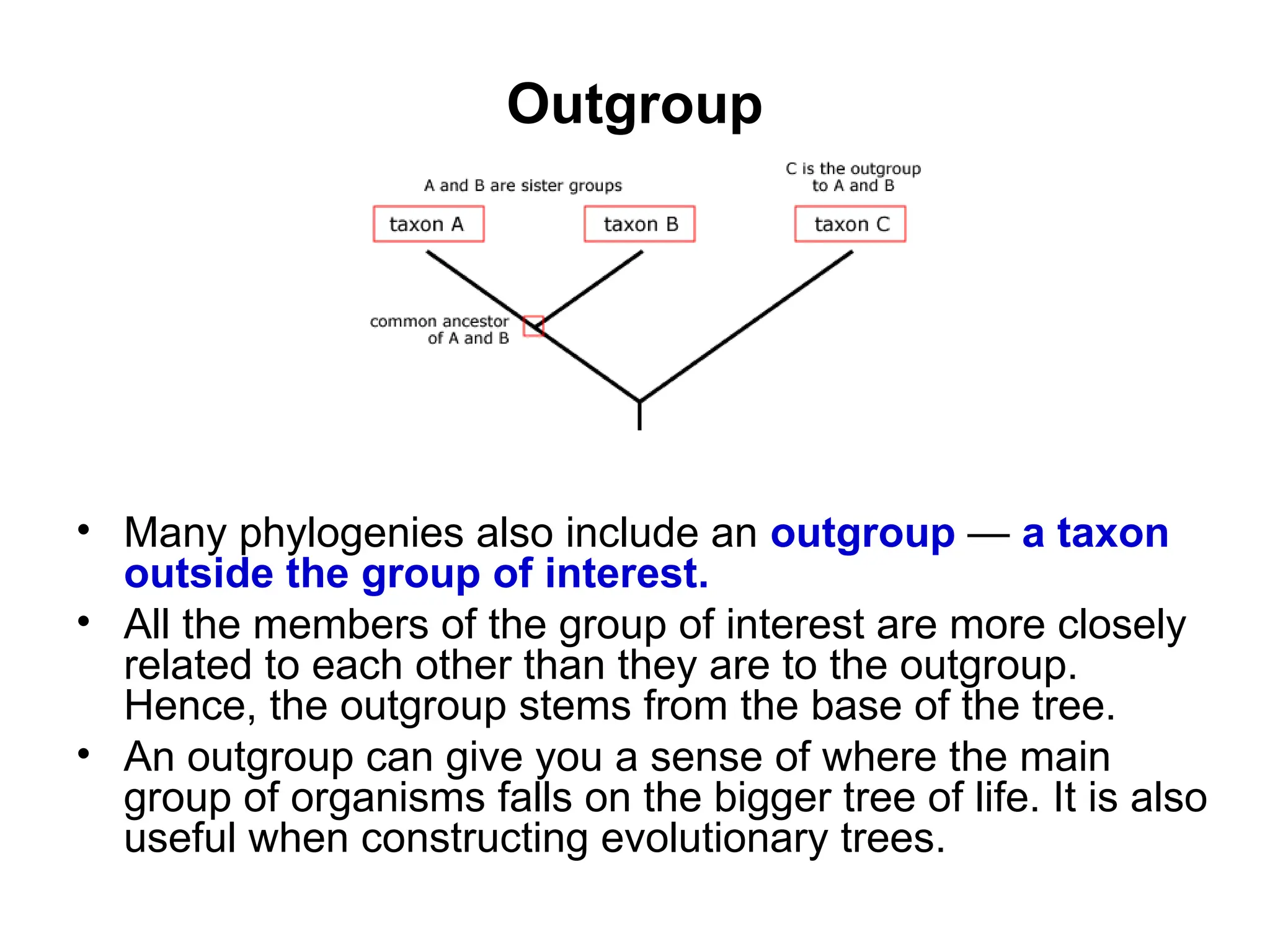 Outgroup
• Many phylogenies also include an outgroup — a taxon
outside the group of interest.
• All the members of the group of interest are more closely
related to each other than they are to the outgroup.
Hence, the outgroup stems from the base of the tree.
• An outgroup can give you a sense of where the main
group of organisms falls on the bigger tree of life. It is also
useful when constructing evolutionary trees.
 