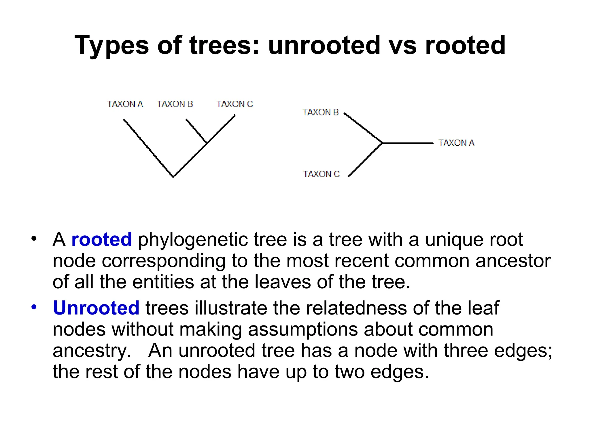 Types of trees: unrooted vs rooted
• A rooted phylogenetic tree is a tree with a unique root
node corresponding to the most recent common ancestor
of all the entities at the leaves of the tree.
• Unrooted trees illustrate the relatedness of the leaf
nodes without making assumptions about common
ancestry. An unrooted tree has a node with three edges;
the rest of the nodes have up to two edges.
 
