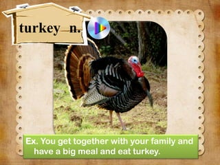 turkey n.

Ex. You get together with your family and
have a big meal and eat turkey.

 
