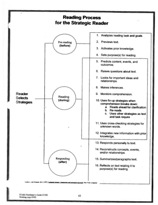 Reading process for the strategic reader