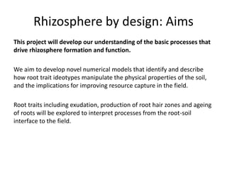 Rhizosphere by design: Aims
This project will develop our understanding of the basic processes that
drive rhizosphere formation and function.
We aim to develop novel numerical models that identify and describe
how root trait ideotypes manipulate the physical properties of the soil,
and the implications for improving resource capture in the field.
Root traits including exudation, production of root hair zones and ageing
of roots will be explored to interpret processes from the root-soil
interface to the field.
 
