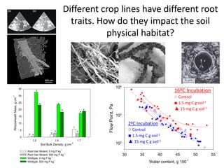 Different crop lines have different root
traits. How do they impact the soil
physical habitat?
Soil Bulk Density, g cm
-3
1.2 1.6 1.7
RhizosheathMass,gcm
-1
0
5
10
15
20
25
30
35
Root Hair Mutant, 0 mg P kg
-1
Root Hair Mutant, 500 mg P kg-1
Wildtype, 0 mg P kg
-1
Wildtype, 500 mg P kg
-1
a b
c
d
e
a
b b
e
e
e e
Water content, g 100-1
30 35 40 45 50 55
FlowPoint,Pa
102
103
104
2ºC Incubation
○ Control
■ 1.5 mg C g soil-1
▲ 15 mg C g soil-1
16ºC Incubation
○ Control
■ 1.5 mg C g soil-1
▲ 15 mg C g soil-1
 