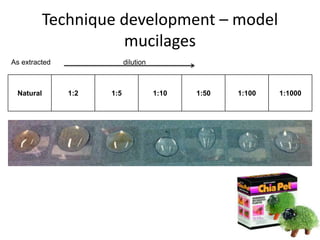 Technique development – model
mucilages
9
Natural 1:2 1:5 1:10 1:50 1:100 1:1000
As extracted dilution
 