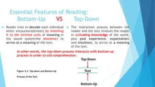 Essential Features of Reading:
Bottom-Up VS Top-Down
 Reader tries to decode each individual
letter encountered(meet) by matching
it to the minimal units of meaning in
the sound system(the phoneme) to
arrive at a meaning of the text.
 The interaction process between the
reader and the text involves the reader
in activating knowledge of the world,
plus past experience, expectations
and intuitions, to arrive at a meaning
of the text.
In other words, the top-down process interacts with bottom-up
process in order to aid comprehension.
Top-Down
Figure 6.3. Top-down and Bottom-Up Text
Process of the Text.
Bottom-Up
 