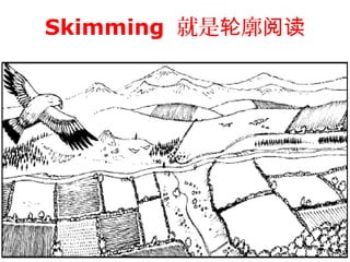 Skimming 就是 廓轮 阅读
 