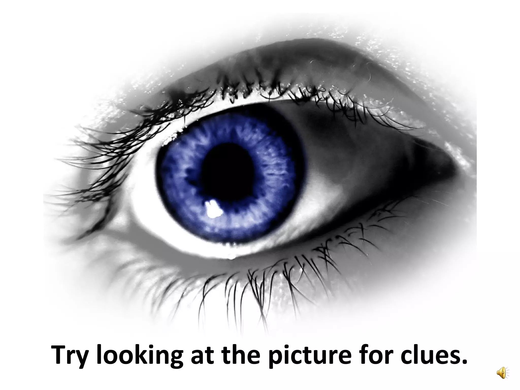 Try looking at the picture for clues.
 