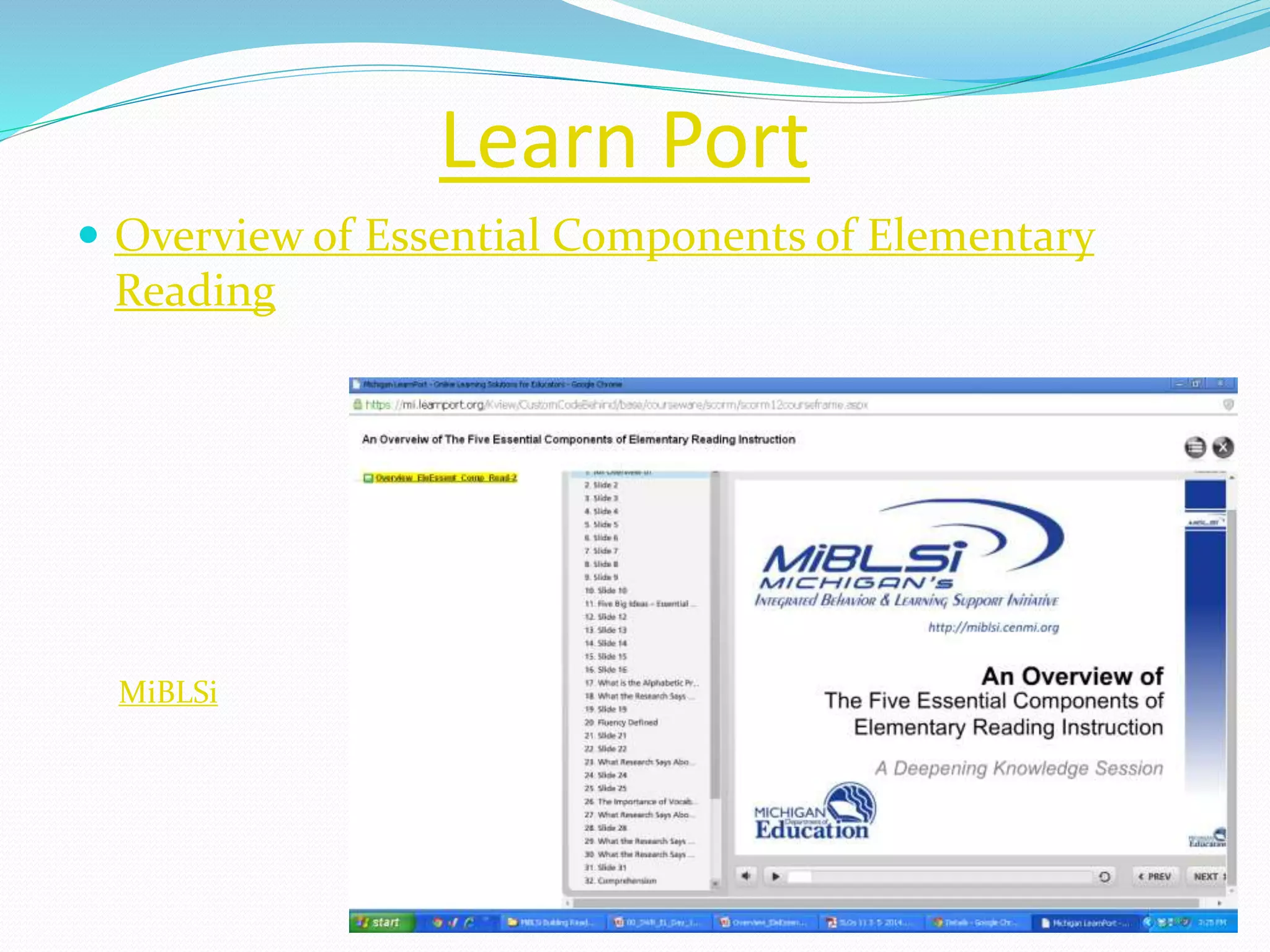 Learn Port 
 Overview of Essential Components of Elementary 
Reading 
MiBLSi 
 