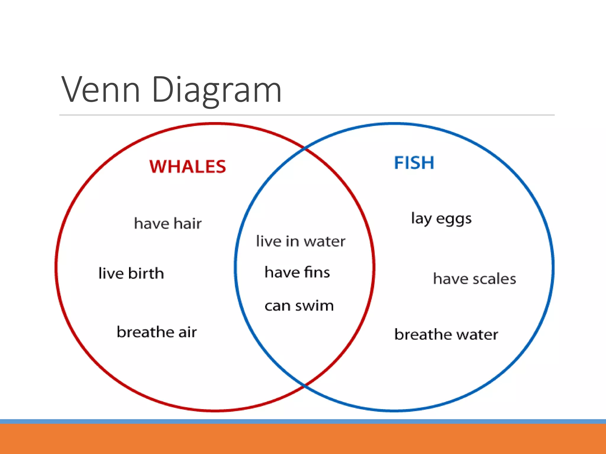 Venn Diagram
 
