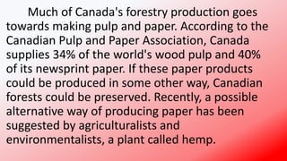Much of Canada's forestry production goes
towards making pulp and paper. According to the
Canadian Pulp and Paper Association, Canada
supplies 34% of the world's wood pulp and 40%
of its newsprint paper. If these paper products
could be produced in some other way, Canadian
forests could be preserved. Recently, a possible
alternative way of producing paper has been
suggested by agriculturalists and
environmentalists, a plant called hemp.
 