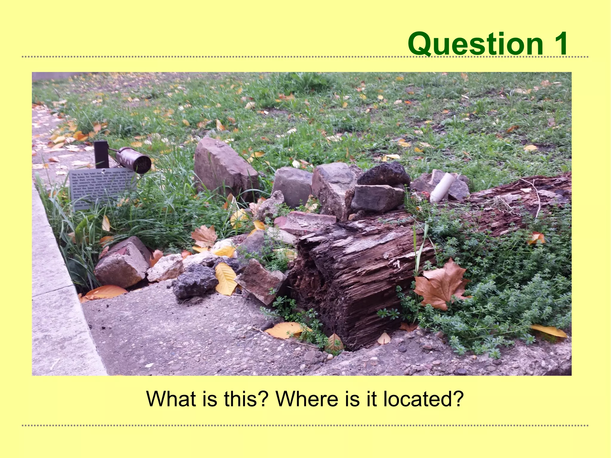 Question 1
What is this? Where is it located?
 