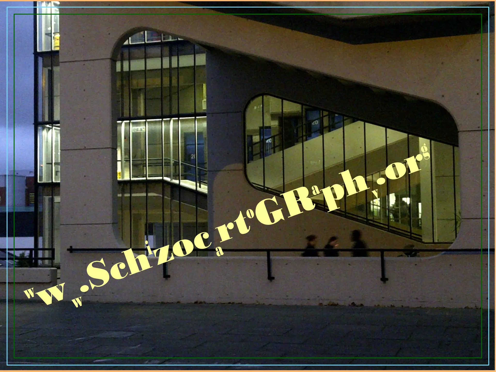 w ww
.Sch
i zoca
rto GR
a phy
.org
 