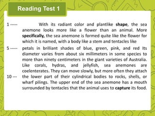 Reading Test 1
1 ----- With its radiant color and plantlike shape, the sea
anemone looks more like a flower than an animal. More
specifically, the sea anemone is formed quite like the flower for
which it is named, with a body like a stem and tentacles like
5 ----- petals in brilliant shades of blue, green, pink, and red Its
diameter varies from about six millimeters in some species to
more than ninety centimeters in the giant varieties of Australia.
Like corals, hydras, and jellyfish, sea anemones are
coelenterates. They can move slowly, but more often they attach
10 --- the lower part of their cylindrical bodies to rocks, shells, or
wharf pilings. The upper end of the sea anemone has a mouth
surrounded by tentacles that the animal uses to capture its food.
 