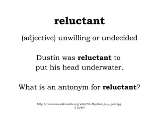 reluctant (adjective) unwilling or undecided Dustin was  reluctant  to  put his head underwater. What is an antonym for  reluctant ? http://commons.wikimedia.org/wiki/File:Baptism_in_a_pool.jpg  5 U2W4 