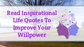 Read Inspirational
Life Quotes To
Improve Your
Willpower
 