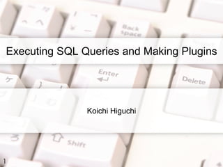 Executing SQL Queries and Making Plugins




               Koichi Higuchi




1
 