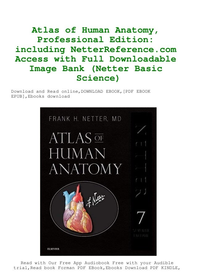 Read Online Atlas Of Human Anatomy Professional Edition Including Ne