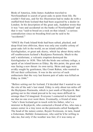 Birds of America, John James Audubon traveled to
Newfoundland in search of great auks to paint from life. He
couldn’t find any, and for his illustration had to make do with a
stuffed bird from Iceland that had been acquired by a dealer in
London. In his description of the great auk, Audubon wrote that
it was “rare and accidental on the banks of Newfoundland” and
that it was “said to breed on a rock on that island,” a curious
contradiction since no breeding bird can be said to be
“accidental.”
“ONCE the Funk Island birds had been salted, plucked, and
deep-fried into oblivion, there was only one sizable colony of
great auks left in the world, on an island called the
Geirfuglasker, or great auk skerry, which lay about thirty miles
off southwestern Iceland’s Reykjanes Peninsula. Much to the
auk’s misfortune, a volcanic eruption destroyed the
Geirfuglasker in 1830. This left the birds one solitary refuge, a
speck of an island known as Eldey. By this point, the great auk
was facing a new threat: its own rarity. Skins and eggs were
avidly sought by gentlemen, like Count Raben, who wanted to
fill out their collections. It was in the service of such
enthusiasts that the very last known pair of auks was killed on
Eldey in 1844.”
“Before setting out for Iceland, I’d decided that I wanted to see
the site of the auk’s last stand. Eldey is only about ten miles off
the Reykjanes Peninsula, which is just south of Reykjavik. But
getting out to the island proved to be way more difficult to
arrange than I’d imagined. Everyone I contacted in Iceland told
me that no one ever went there. Eventually, a friend of mine
“who’s from Iceland got in touch with his father, who’s a
minister in Reykjavik, who contacted a friend of his, who runs a
nature center in a tiny town on the peninsula called Sandgerði.
The head of the nature center, Reynir Sveinsson, in turn, found
a fisherman, Halldór Ármannsson, who said he’d be willing to
take me, but only if the weather was fair; if it was rainy or
 