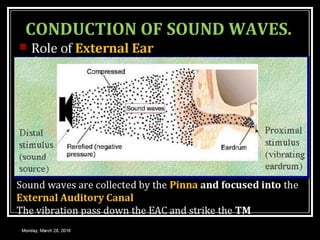 Anatomy & Physiology of EAR and Physiology of Hearing | PPTX