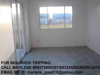 sash bolsas for sale