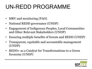 UN-REDD programmeMRV and monitoring (FAO)National REDD governance (UNDP)Engagement of Indigenous Peoples, Local Communities and Other Relevant Stakeholders (UNDP)Ensuring multiple benefits of forests and REDD(UNEP)Transparent, equitable and accountable management (UNDP)REDD+ as a Catalyst for Transformations to a Green Economy (UNEP)