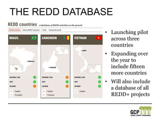 The REDD databaseLaunching pilot across three countriesExpanding over the year to include fifteen more countriesWill also include a database of all REDD+ projects