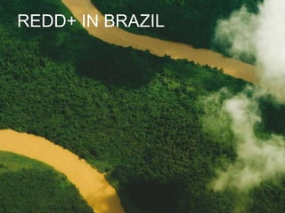 REDD+ in Brazil