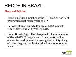REDD+ in brazilStatisticsDeforestation is being driven by commodity prices