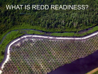 What is REDD Readiness?