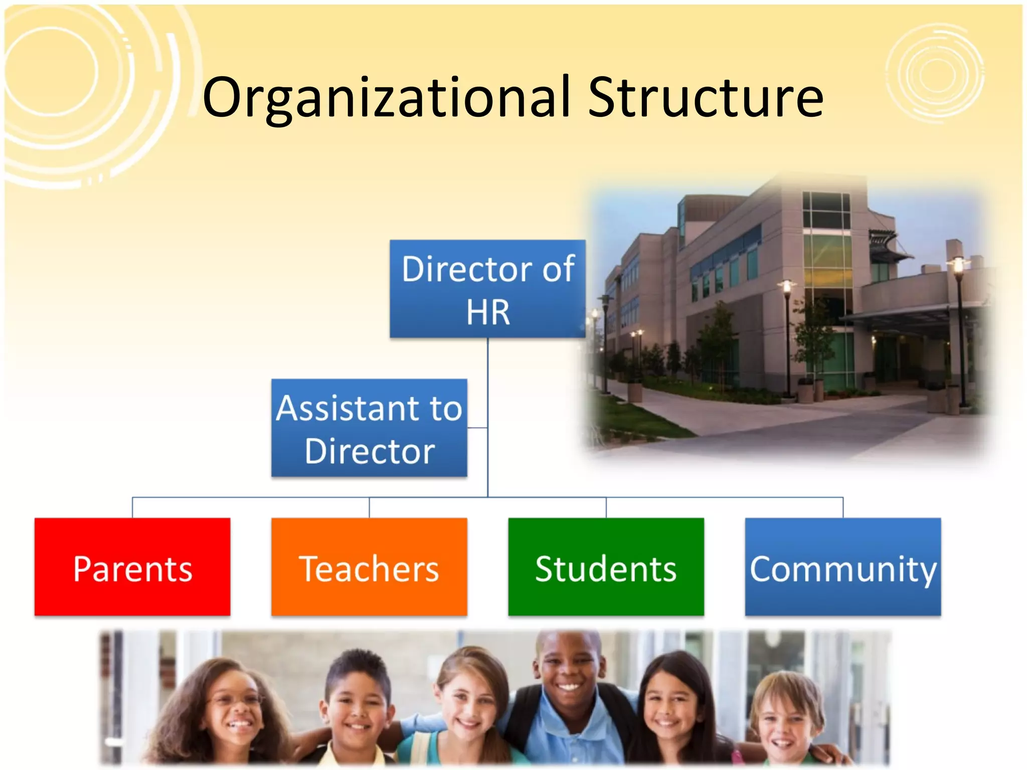 Organizational Structure 