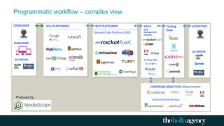 Produced by:
Programmatic workflow – complex view
 