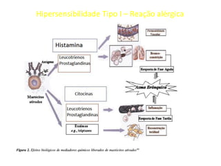 Hipersensibilidade Tipo I – Reação alérgica

 