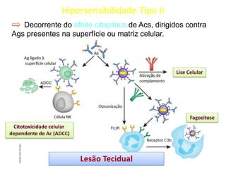 Hipersensibilidade Tipo II
Decorrente do efeito citopático de Acs, dirigidos contra
Ags presentes na superfície ou matriz celular.

Lise Celular

Fagocitose

Citotoxicidade celular
dependente de Ac (ADCC)

Lesão Tecidual

 
