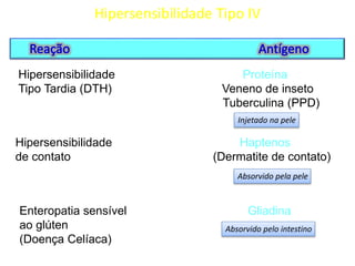Hipersensibilidade Tipo IV

Hipersensibilidade
Tipo Tardia (DTH)

Proteína
Veneno de inseto
Tuberculina (PPD)
Injetado na pele

Hipersensibilidade
de contato

Haptenos
(Dermatite de contato)
Absorvido pela pele

Enteropatia sensível
ao glúten
(Doença Celíaca)

Gliadina
Absorvido pelo intestino

 