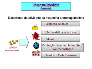 - Decorrente da atividade da histamina e prostaglandinas
Secreção de muco
Permeabilidade vascular
Edema
Contração de musculatura lisa /
Broncoconstrição
Prurido e Rash (Exantema)

 