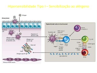 Hipersensibilidade Tipo I – Sensibilização ao alérgeno

 