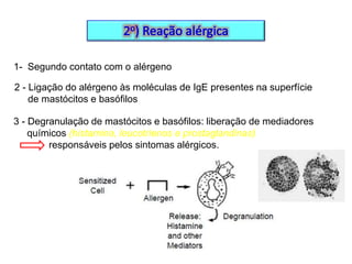 1- Segundo contato com o alérgeno
2 - Ligação do alérgeno às moléculas de IgE presentes na superfície
de mastócitos e basófilos
3 - Degranulação de mastócitos e basófilos: liberação de mediadores
químicos (histamina, leucotrienos e prostaglandinas)
responsáveis pelos sintomas alérgicos.

 