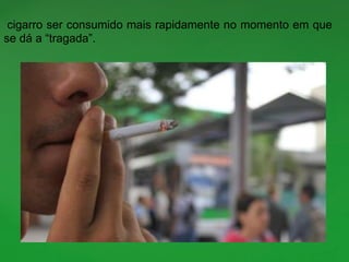 cigarro ser consumido mais rapidamente no momento em que
se dá a “tragada”.
 