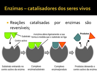  Reações catalisadas por enzimas são
reversíveis;
 