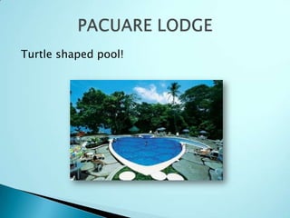 Turtle shaped pool!
 
