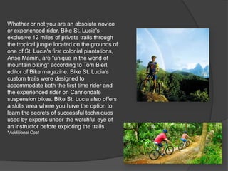 Whether or not you are an absolute novice
or experienced rider, Bike St. Lucia's
exclusive 12 miles of private trails through
the tropical jungle located on the grounds of
one of St. Lucia's first colonial plantations,
Anse Mamin, are "unique in the world of
mountain biking" according to Tom Bierl,
editor of Bike magazine. Bike St. Lucia's
custom trails were designed to
accommodate both the first time rider and
the experienced rider on Cannondale
suspension bikes. Bike St. Lucia also offers
a skills area where you have the option to
learn the secrets of successful techniques
used by experts under the watchful eye of
an instructor before exploring the trails.
*Additional Cost
 