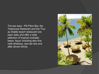 The two bars - Piti Piton Bar, the
Treehouse Restarant and the Trou
au Diable beach restaurant are
open daily and offer a wide
selection of tropical cocktails,
beers, liquor including also fine
malt whiskeys, eau-de-vies and
after dinner drinks.
 