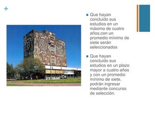 +


Que hayan
concluido sus
estudios en un
máximo de cuatro
años,con un
promedio mínimo de
siete serán
seleccionados



Que hayan
concluido sus
estudios en un plazo
mayor a cuatro años
y con un promedio
mínimo de siete,
podrán ingresar
mediante concurso
de selección.

 