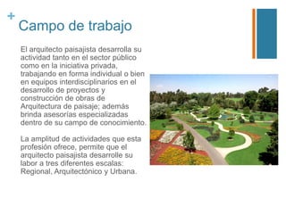 +

Campo de trabajo
El arquitecto paisajista desarrolla su
actividad tanto en el sector público
como en la iniciativa privada,
trabajando en forma individual o bien
en equipos interdisciplinarios en el
desarrollo de proyectos y
construcción de obras de
Arquitectura de paisaje; además
brinda asesorías especializadas
dentro de su campo de conocimiento.
La amplitud de actividades que esta
profesión ofrece, permite que el
arquitecto paisajista desarrolle su
labor a tres diferentes escalas:
Regional, Arquitectónico y Urbana.

 