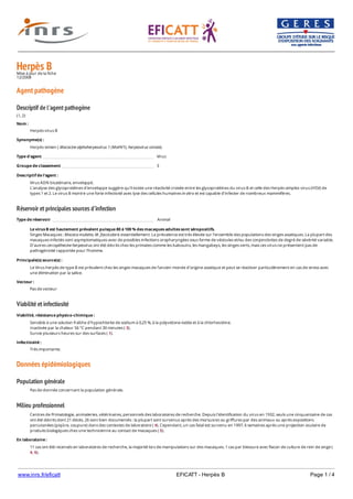 www.inrs.fr/eficatt EFICATT - Herpès B Page 1 / 4
Herpès BMise à jour de la fiche
12/2008
Agent pathogène
Descriptif de l'agent pathogène
(1, 2)
Réservoir et principales sources d'infection
Viabilité et infectiosité
Données épidémiologiques
Population générale
Milieu professionnel
Nom :
Herpès virus B
Synonyme(s) :
Herpès simien ( Macacine alphaherpesvirus 1 (MaHV1), herpesvirus simiae).
Type d'agent Virus
Groupe de classement 3
Descriptif de l'agent :
Virus ADN bicaténaire, enveloppé.
L’analyse des glycoprotéines d’enveloppe suggère qu’il existe une réactivité croisée entre les glycoprotéines du virus B et celle des Herpès simplex virus (HSV) de
types 1 et 2. Le virus B montre une forte infectivité avec lyse des cellules humaines in vitro et est capable d’infecter de nombreux mammifères.
Type de réservoir Animal
Le virus B est hautement prévalent puisque 80 à 100 % des macaques adultes sont séropositifs.
Singes Macaques : Macaca mulatta, M. fascicularis essentiellement. La prévalence est très élevée sur l’ensemble des populations des singes asiatiques. La plupart des
macaques infectés sont asymptomatiques avec de possibles infections oropharyngées sous forme de vésicules et/ou des conjonctivites de degré de sévérité variable.
D’autres cercopithecine herpesvirus ont été décrits chez les primates comme les babouins, les mangabeys, les singes verts, mais ces virus ne présentent pas de
pathogénicité rapportée pour l’homme.
Principale(s) source(s) :
Le Virus herpès de type B est prévalent chez les singes macaques de l’ancien monde d'origine asiatique et peut se réactiver particulièrement en cas de stress avec
une élimination par la salive.
Vecteur :
Pas de vecteur
Viabilité, résistance physico-chimique :
Sensible à une solution fraîche d'hypochlorite de sodium à 0,25 %, à la polyvidone-iodée et à la chlorhexidine.
Inactivée par la chaleur 56 °C pendant 30 minutes ( 3).
Survie plusieurs heures sur des surfaces ( 1).
Infectiosité :
Très importante.
Pas de donnée concernant la population générale.
Centres de Primatologie, animaleries, vétérinaires, personnels des laboratoires de recherche. Depuis l'identification du virus en 1932, seuls une cinquantaine de cas
ont été décrits dont 21 décès. 26 sont bien documentés : la plupart sont survenus après des morsusres ou griffures par des animaux ou après expositions
percutanées (piqûre, coupure) dans des contextes de laboratoire ( 4). Cependant, un cas fatal est survenu en 1997, 6 semaines après une projection oculaire de
produits biologiques chez une technicienne au contact de macaques ( 5).
En laboratoire :
11 cas ont été recensés en laboratoires de recherche, la majorité lors de manipulations sur des macaques. 1 cas par blessure avec flacon de culture de rein de singe (
4, 6).
 