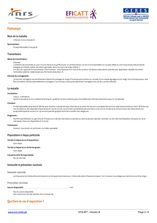 www.inrs.fr/eficatt EFICATT - Herpès B Page 2 / 4
Pathologie
Nom de la maladie
Transmission
La maladie
Populations à risque particulier
Immunité et prévention vaccinale
Immunité naturelle
Prévention vaccinale
Que faire en cas d'exposition ?
Infection à virus herpès B
Synonyme(s) :
Encéphalomyélite à herpès B
Mode de transmission :
Zoonose.
L’infection est transmise au cours d’une morsure ou griffure par un animal porteur ou lors d'une exposition sur la peau lésée ou une muqueuse à des produits
biologiques infectés (salive, sécrétions génitales, tissus nerveux de singe infecté...).
Un seul cas rapporté de transmission interhumaine : chez l'épouse d'un chercheur porteur de lésions vésiculaires cutanées par application répétée de crème
corticoïdes (atteinte restée locale sous forme de vésicules) ( 7).
Période de contagiosité :
Le pouvoir contagieux est extrêmement élevé et le passage du singe à l’homme peut se faire sur la base d’une simple égratignure du doigt. Tout animal porteur doit
être considéré comme potentiellement contagieux. Les animaux sont particulièrement contagieux lors de leur primo-infection.
Incubation :
3 jours - 4 semaines.
Après l’inoculation le virus dissémine le long du système nerveux central jusqu’à la moelle avec nécrose ascendant jusqu’à l’ encéphale.
Clinique :
Encéphalomyélite ascendante, fébrile avec réaction cutanée de type vésiculeuse au point de morsure, paralysie des centres respiratoires évoluant dans 70 % des cas
vers le décès ou des séquelles importantes en cas de survie. Les premiers symptômes peuvent être un prurit sur le site de la morsure avec des vésicules et une
lymphadénopathie suivie d’un syndrome pseudo-grippal avant les troubles neurologiques.
Diagnostic :
ParPCR (identification du génome de l’herpès virus B) dans les lésions cutanées ou dans le liquide céphalo-rachidien ou lors des manifestations cliniques ou de la
nécropsie. (Test non disponible en France).
Traitement :
Aciclovir, Ganciclovir en perfusion, en milieu spécialisé.
Terrain à risque accru d'acquisition :
Sans objet.
Terrain à risque accru de forme grave :
Sans objet.
Cas particulier de la grossesse :
Pas de donnée.
La fréquence de l'immunité anti-herpès virus de type B est inconnue. L'immunité contre l'herpès de types 1 et 2 humain ne protège pas contre le virus B du singe.
Vaccin disponible non
Pas de vaccin disponible
Des recherches ont été menées chez l'animal ( 8).
 