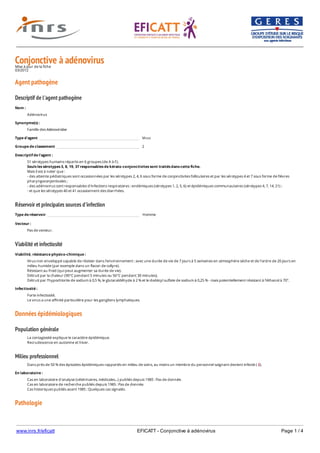 www.inrs.fr/eficatt EFICATT - Conjonctive à adénovirus Page 1 / 4
Conjonctive à adénovirusMise à jour de la fiche
03/2012
Agent pathogène
Descriptif de l'agent pathogène
Réservoir et principales sources d'infection
Viabilité et infectiosité
Données épidémiologiques
Population générale
Milieu professionnel
Pathologie
Nom :
Adénovirus
Synonyme(s) :
Famille des Adenoviridae
Type d'agent Virus
Groupe de classement 2
Descriptif de l'agent :
51 sérotypes humains répartis en 6 groupes (de A à F).
Seuls les sérotypes 3, 8, 19, 37 responsables de kérato-conjonctivites sont traités dans cette fiche.
Mais il est à noter que :
- des atteinte pédiatriques sont occasionnées par les sérotypes 2, 4, 6 sous forme de conjonctivites folliculaires et par les sérotypes 4 et 7 sous forme de fièvres
pharyngoconjontivales ;
- des adénovirus sont responsables d'infections respiratoires : endémiques (sérotypes 1, 2, 5, 6) et épidémiques communautaires (sérotypes 4, 7, 14, 21) ;
- et que les sérotypes 40 et 41 occasionnent des diarrhées.
Type de réservoir Homme
Vecteur :
Pas de vecteur.
Viabilité, résistance physico-chimique :
Virus non enveloppé capable de résister dans l'environnement : avec une durée de vie de 7 jours à 5 semaines en atmosphère sèche et de l'ordre de 20 jours en
milieu humide (par exemple dans un flacon de collyre).
Résistant au froid (qui peut augmenter sa durée de vie).
Détruit par la chaleur (90°C pendant 5 minutes ou 56°C pendant 30 minutes).
Détruit par l'hypochlorite de sodium à 0,5 %, le glutaraldéhyde à 2 % et le dodécyl sulfate de sodium à 0,25 % - mais potentiellement résistant à l'éthanol à 70°.
Infectiosité :
Forte infectiosité.
Le virus a une affinité particulière pour les ganglions lymphatiques.
La contagiosité explique le caractère épidémique.
Recrudescence en automne et hiver.
Dans près de 50 % des épisodes épidémiques rapportés en milieu de soins, au moins un membre du personnel soignant devient infecté ( 2).
En laboratoire :
Cas en laboratoire d'analyse (vétérinaires, médicales...) publiés depuis 1985 : Pas de donnée.
Cas en laboratoire de recherche publiés depuis 1985 : Pas de donnée.
Cas historiques publiés avant 1985 : Quelques cas signalés.
 